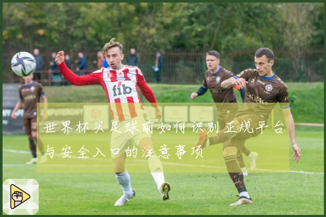 世界杯买足球前如何识别正规平台与安全入口的注意事项