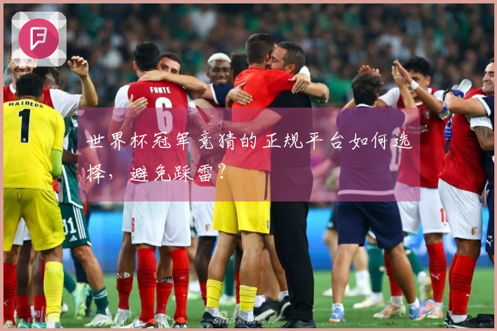 世界杯冠军竞猜的正规平台如何选择，避免踩雷？