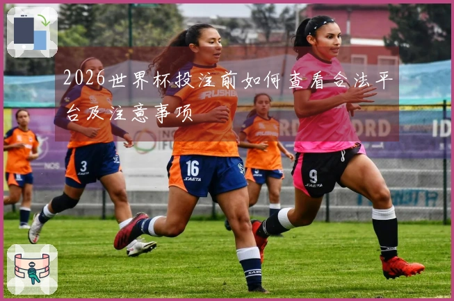 2026世界杯投注前如何查看合法平台及注意事项