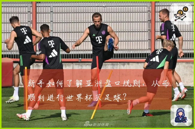 新手如何了解亚洲盘口规则，从而顺利进行世界杯买足球？