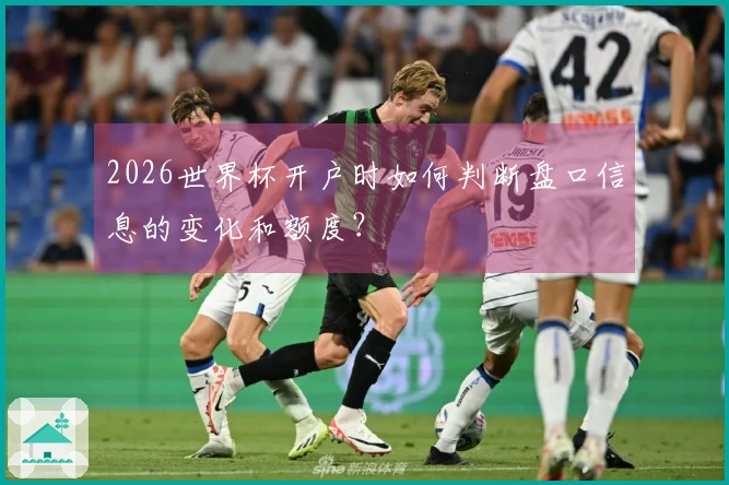 2026世界杯开户时如何判断盘口信息的变化和额度？