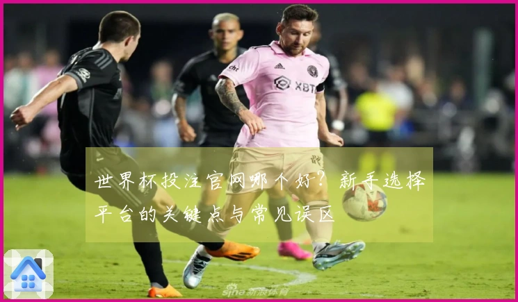 世界杯投注官网哪个好？新手选择平台的关键点与常见误区