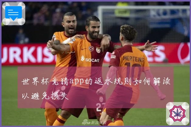 世界杯竞猜app的返水规则如何解读以避免损失