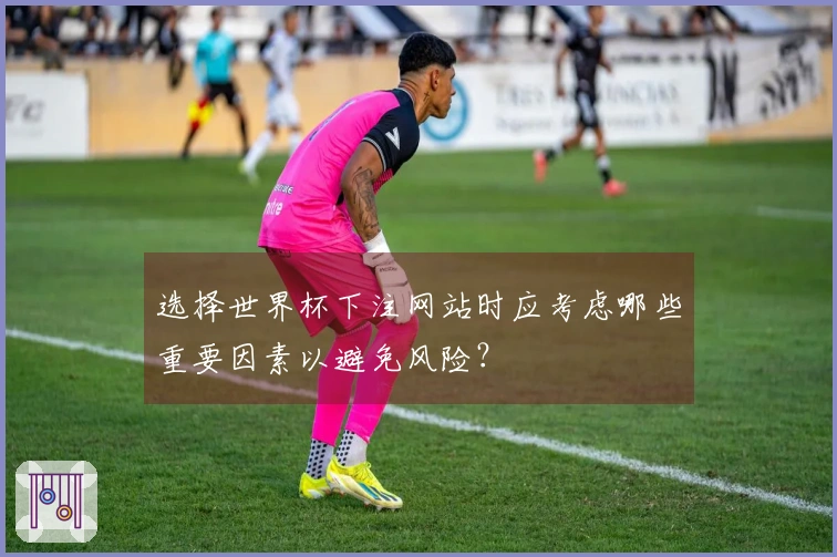 选择世界杯下注网站时应考虑哪些重要因素以避免风险？