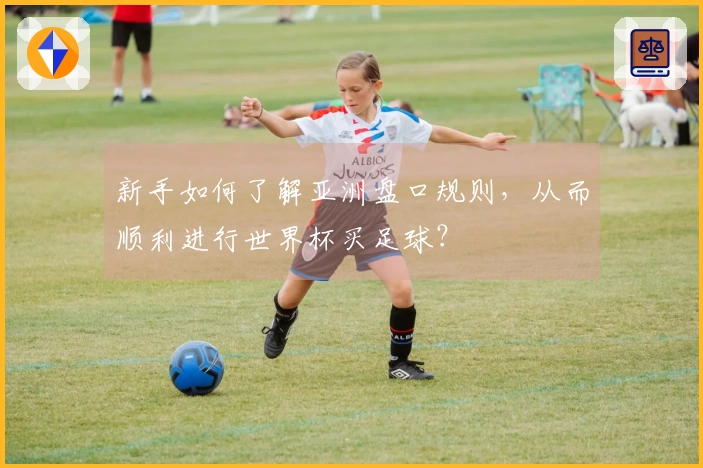 新手如何了解亚洲盘口规则，从而顺利进行世界杯买足球？