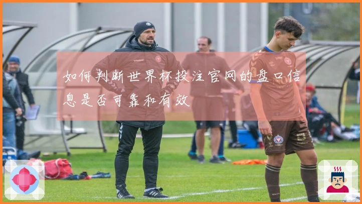 如何判断世界杯投注官网的盘口信息是否可靠和有效