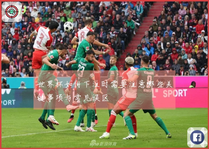 世界杯如何下注时需要注意哪些关键事项与常见误区