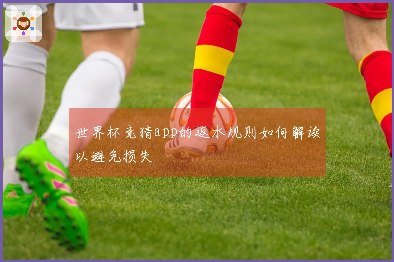 世界杯竞猜app的返水规则如何解读以避免损失