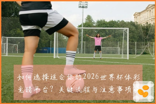 如何选择适合你的2026世界杯体彩竞猜平台？关键流程与注意事项解析