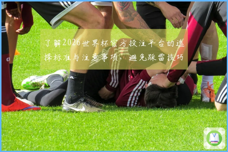 了解2026世界杯官方投注平台的选择标准与注意事项，避免踩雷技巧分享
