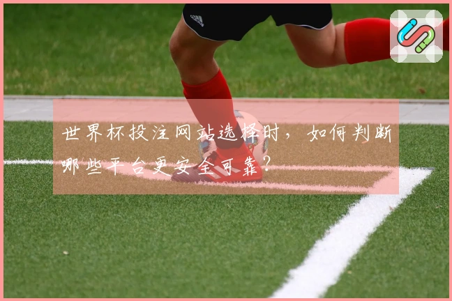 世界杯投注网站选择时，如何判断哪些平台更安全可靠？