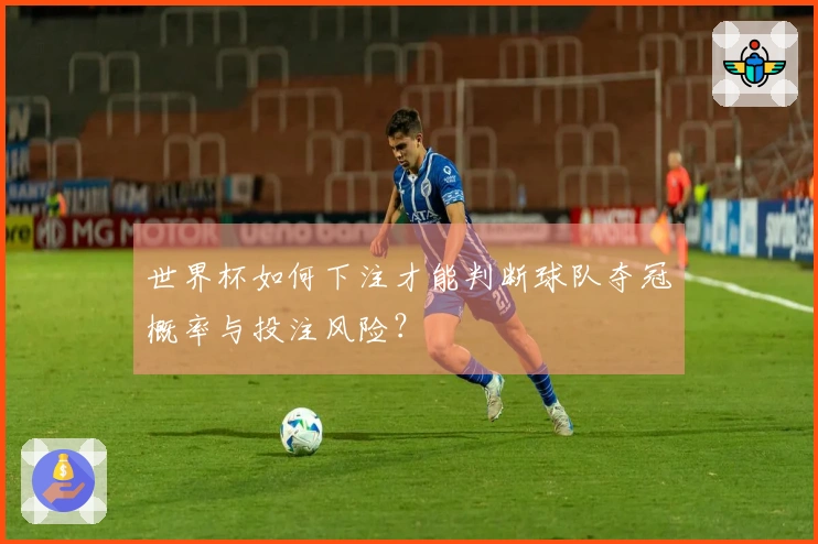 世界杯如何下注才能判断球队夺冠概率与投注风险？