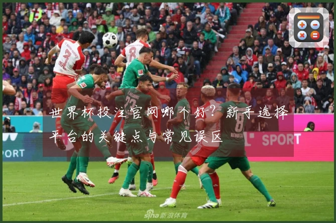 世界杯投注官网哪个好？新手选择平台的关键点与常见误区