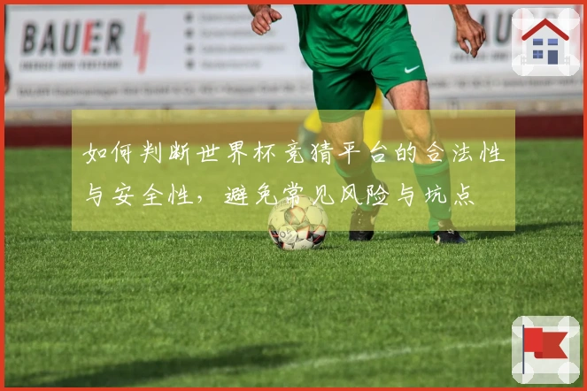如何判断世界杯竞猜平台的合法性与安全性，避免常见风险与坑点
