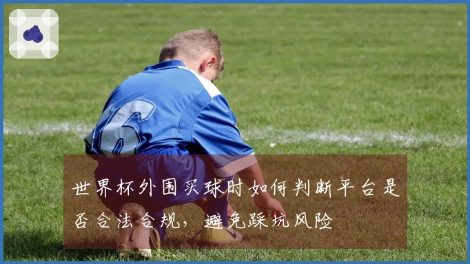 世界杯外围买球时如何判断平台是否合法合规，避免踩坑风险