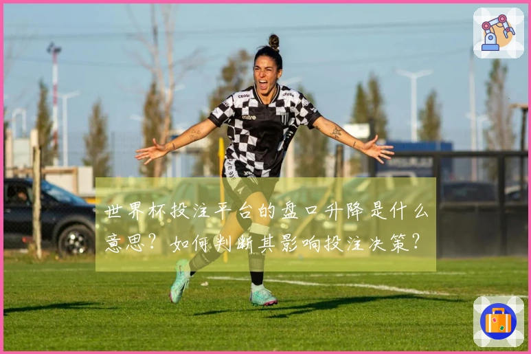 世界杯投注平台的盘口升降是什么意思？如何判断其影响投注决策？