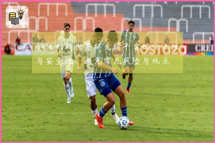 如何判断世界杯竞猜平台的合法性与安全性，避免常见风险与坑点
