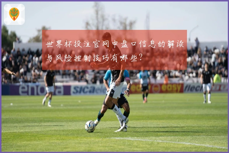世界杯投注官网中盘口信息的解读与风险控制技巧有哪些？