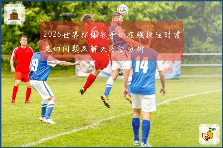 2026世界杯体彩手机在线投注时常见的问题及解决方法分析