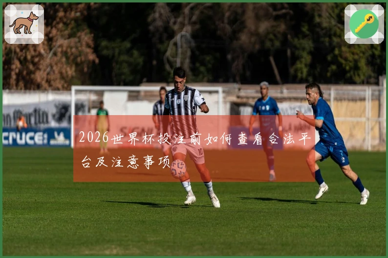 2026世界杯投注前如何查看合法平台及注意事项